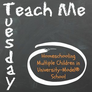 Teach Me Tuesday- Homeschooling multiple children